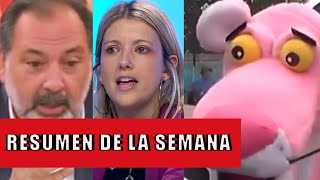 La APARIENCIA DELICTIVA de la PANTERA ROSA  Resumen de la Semana 49  ZIN TV [upl. by Treboh]