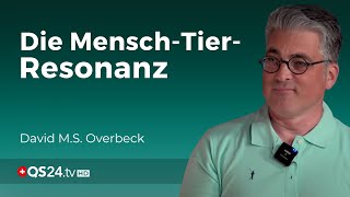 Die unsichtbare Verbindung Die faszinierende Resonanz zwischen Mensch und Tier  QS24 [upl. by Crofton]