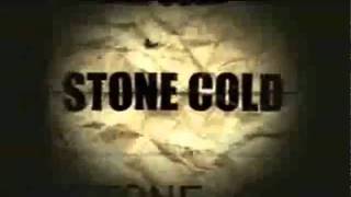 Stone Cold 20012002 Titantron [upl. by Narej258]