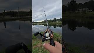 スティーズHLC カタログ fishing バチ抜けシーバス ベイトシーバス carpfishing bassfishing [upl. by Nirrep]