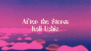 Kali Uchis  After the Storm lyrics V A P O R W A V E [upl. by Aidahs343]