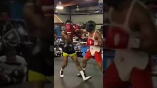 Shakur Stevenson NASTY COMBOS IN SPARRINGboxing shakurstevenson sparring [upl. by Anele]