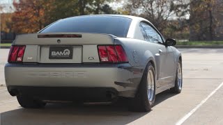 BRUTE ForceProcharged F1A Terminator Cobra Review by BAMA Performance [upl. by Ahseem]