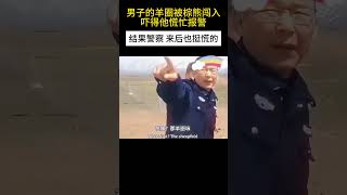 男子羊圈发现棕熊后慌忙报警，结果警察来后也挺慌的动物 funny [upl. by Niowtna]