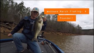 March Fishing at Lake Wedowee Alabama 4 POUNDER on a crankbait [upl. by Conrado]