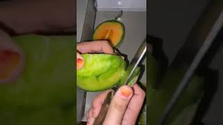 ASMR  Melon madu youtubeshorts melon fruit food asmrsounds buah [upl. by Annuahsal]