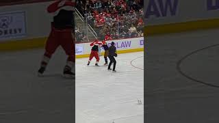 Darren McCarty fights one of the Jims [upl. by Arjun438]