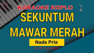 Sekuntum Mawar Merah Karaoke Nada Pria [upl. by Willow42]