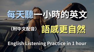 🎧保母級聽力訓練｜快速學會日常英文句子｜輕鬆提升英語水平｜從零開始聽懂英文｜零基礎快速進步｜English Listening（附中文解說） [upl. by Ennairrac]