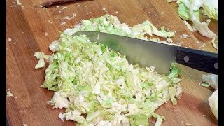 Homemade Coleslaw Recipe  The Hillbilly Kitchen [upl. by Etteniuqna]