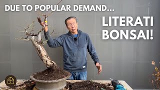 Design a Literati Style Bonsai with Me [upl. by Shalna]