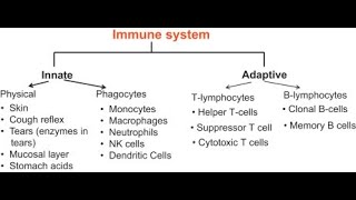 Immunology Innate Immunity Physical Barriers Part 1 [upl. by Assenat]