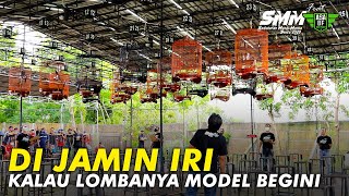 SMM Sajikan Lomba Burung Terbaik SeIndonesia [upl. by Siurtemed]