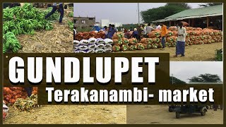 Gundlupet vegetable market Terakanambi GundlpetTerakanambi Market [upl. by Neehsar]