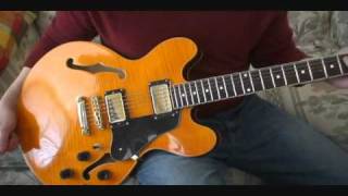 Hamer Echotone Aztec Gold over Flame Maple SemiHollow Part 1 [upl. by Oiled364]