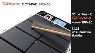 วิธีใช้ Roland OCTAPAD SPD30 EP1 การเปลี่ยนเสียงแต่ละแป้น [upl. by Amandi77]