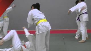 Jiu Jitsu  demonstrating The Jitsu Foundation training and art [upl. by Aliuqehs]