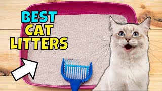 The BEST Cat Litters of 2023 Expert Recommended [upl. by Gerhan623]