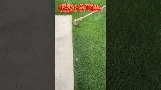 Edging lawn grass satisfying edge fun chickensandwich lawncare peanut chickennuggets [upl. by Nitsug61]