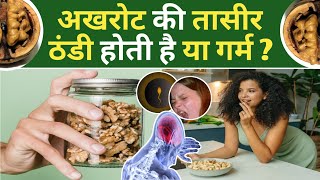 Akhrot Ki Taseer अखरोट की तासीर ठंडी या गर्म अखरोट खाने के फायदे Akhrot Ke Fayde Walnut Benefits [upl. by Akira449]