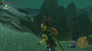 Zelda Breath of the Wild  Encontrando Kilton  Nintendo Switch [upl. by Goldy]