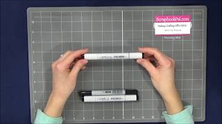 Copic Markers and the difference between Sketch Ciao and Original Classic [upl. by Orrin]