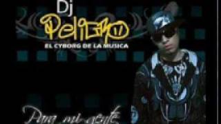 Dj Peligro ft Kale  reggaeton de la quinceañera 2010 [upl. by Ludie808]