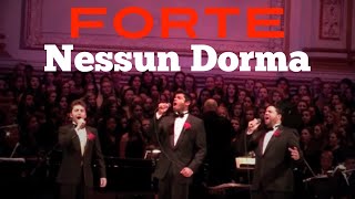 Forte  Nessun Dorma  Carnegie Hall Debut [upl. by Anelad]