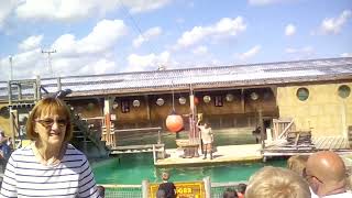 Flamingo Land Sealion Show [upl. by Adaline]