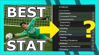 What Makes A Great Goalkeeper  Football Manager [upl. by Hogen82]