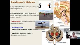 Ch 4 part 2 lecture 2 [upl. by Thorndike]