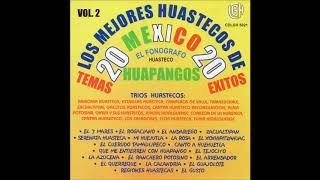 Various Artists  Los Mejores Huastecos De Mexico Vol 2 Disco Completo [upl. by Etteve]