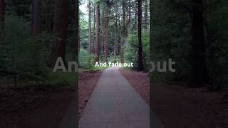 Radiohead  Street Spirit Fade Out shorts music [upl. by Eiramllij]