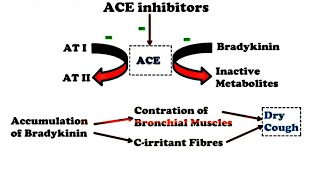 How ACE Inhibitors Produce Dry Cough  PharmaCos [upl. by Annoj700]