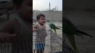 Parrot ki dosti cutebaby 31 August 2024 [upl. by Akissej970]