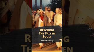 Rescuing The Fallen Souls  Prabhupada 0286 [upl. by Dewie385]