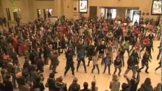 FLASHMOB  central station in BRUSSELS Belgium [upl. by Elaynad]