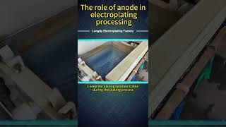 The role of anode in electroplating processing factory [upl. by Annaili733]