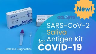 How to Use Saliva Antigen Test Kit for COVID19 within ONLY 12 mins [upl. by Seiber]