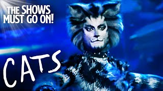 Jellicle Songs for Jellicle Cats  Cats The Musical [upl. by Adnolay]