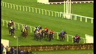 1994 Smurfit Champion Hurdle Challenge Trophy [upl. by Reld]