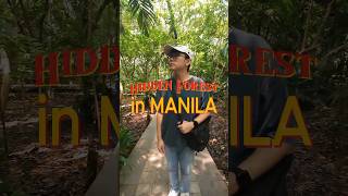 Discover Manila’s hidden jungle Explore the lush beauty of Arroceros Park 🌿🌆 travelvlog park [upl. by Yetak957]