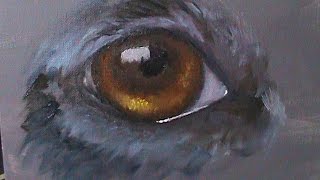 PAINTING TUTORIAL Dog Eye  Lysa Roberts Art [upl. by Sudoeht]