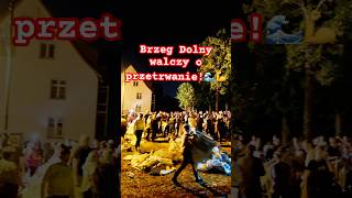 Brzeg Dolny walczy z powodzią 🌊💪 brzegdolny powódź wielkawoda [upl. by Livesay]