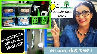 💡 COMO ORGANIZAR DEBAJO DEL FREGADERO ✅ [upl. by Aeniah]