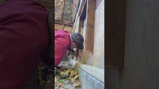 Operation GetitDone Mission Sill and Bottom Plate Replacement Part 1 historicalhome renovation [upl. by Ykvir895]