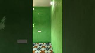 Wall colour putty asianpaint song funny shorts shortvideo art [upl. by Aisad401]