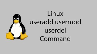 Learn Linux 13  useradd usermod userdel Command [upl. by Herr]