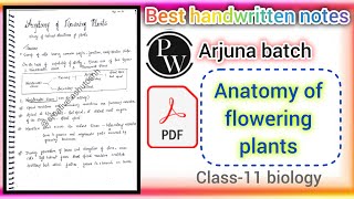 anatomy of flowering plants notesclass 11 biology chapter 6 notesPW notesclass11 Arjuna batch [upl. by Pinzler]