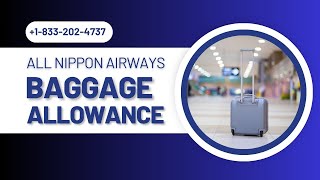 All Nippon Airways Baggage Allowance  Steps To Add Bag [upl. by Ecertap]